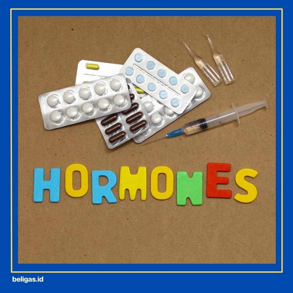 pengguna steroid
