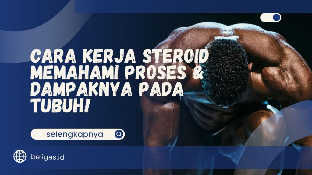 cara kerja steroid