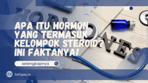 Hormon yang Termasuk Kelompok Steroid?